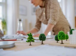 Sustainability in Business